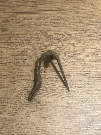 Fibula