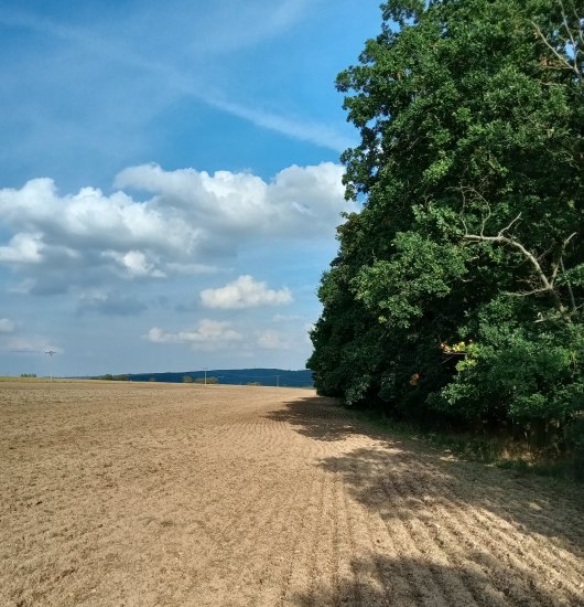 Trochu jiné olovo...