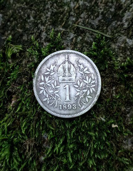 1 Koruna FJI 1893