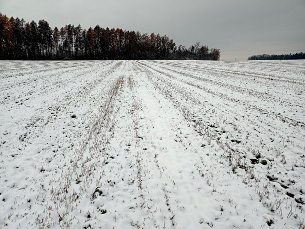 Fešák z pole.