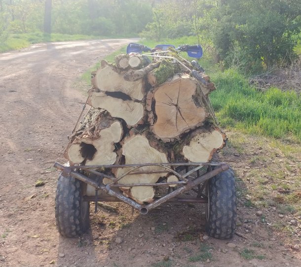 Stříbrňáček zeleňáček