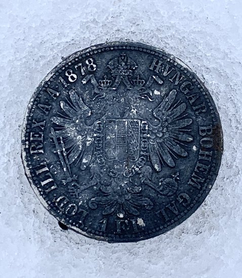 1 Florin (1878)!