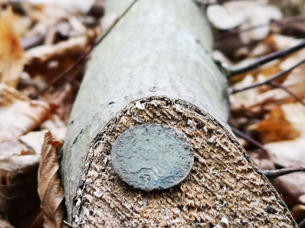 3x mince, jedna díra.. 🍀