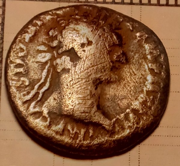 Denarius (Domitian - Minerva)