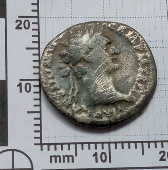 Denarius (Domitian - Minerva)