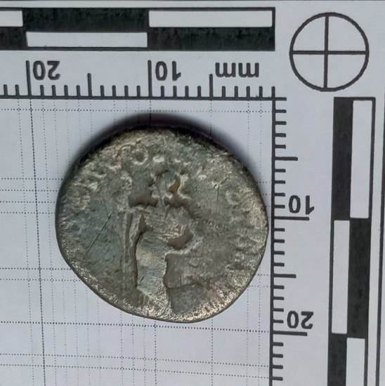 Denarius (Domitian - Minerva)