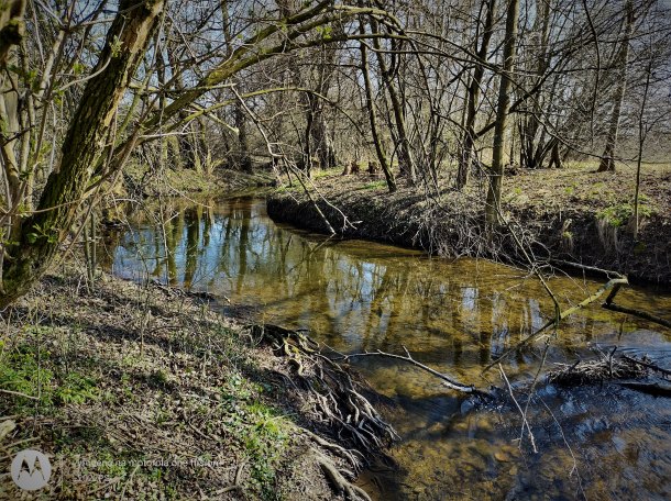 PRAŽSKÝ GROŠ