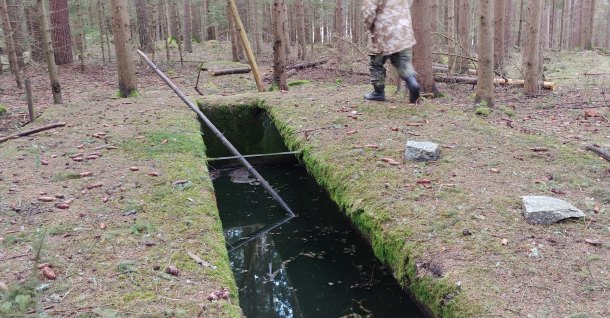 Po stopách vlastních předků