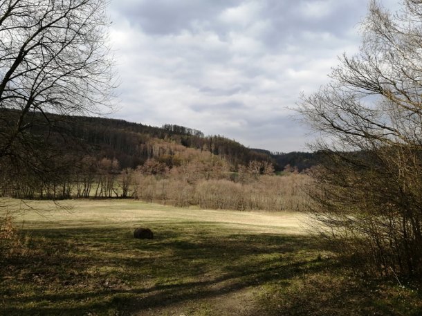 Medajlon Agnus Dei beránek boží