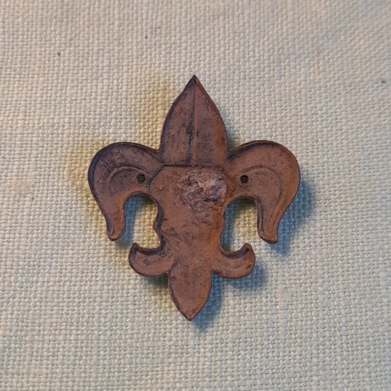 Skaut badge