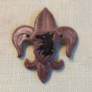 Skaut badge