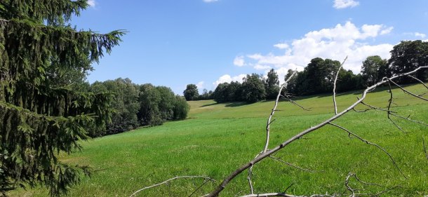 Mince od uživatele Seris