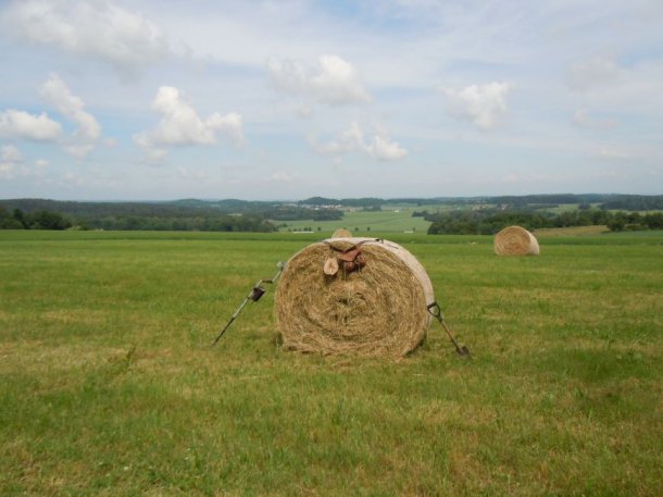 Krokvice, kladivo a lžíce = zedník