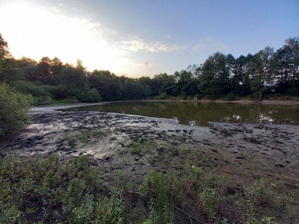 564ks na ploše 420m čtverečních