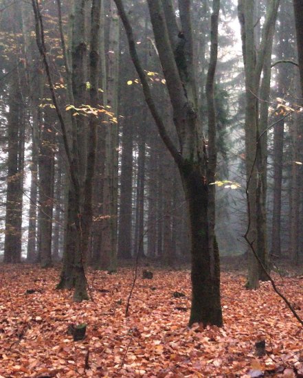 Polibek středověku