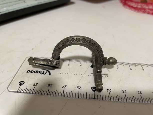 Fibula