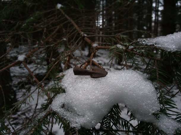 Šipka