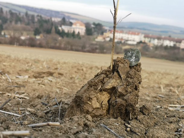 Včerejší radost 🍀👍😎🤟🍀