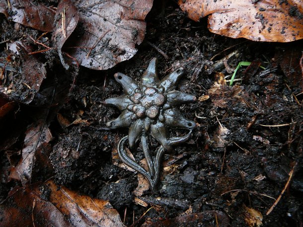 Odznak - Edelweiss Alpská protěž