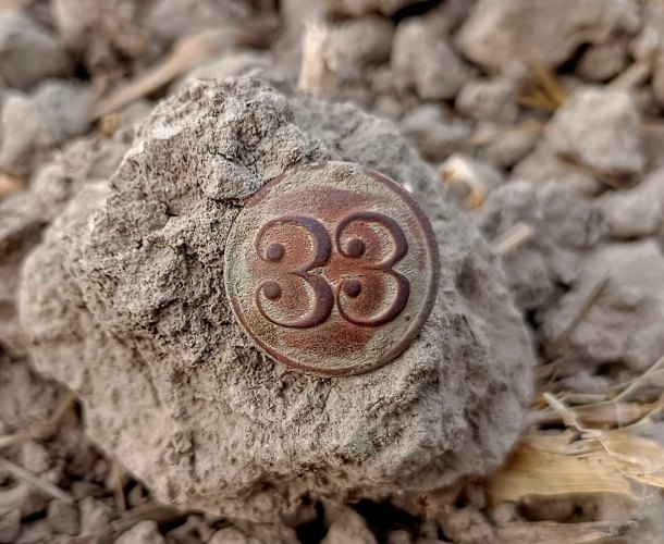 33