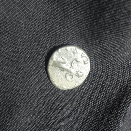 Denarius Julia