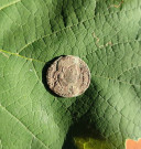 Follis Valentinian I.