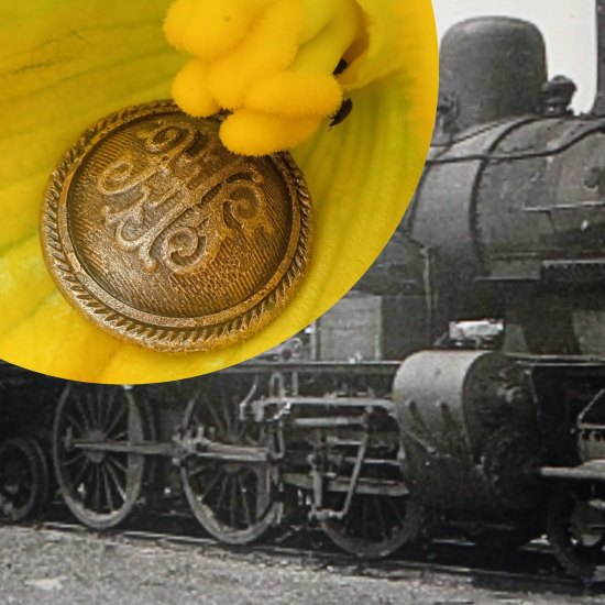 Polní eisenbón🚂