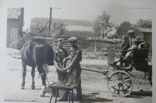 Okujeme koníčka