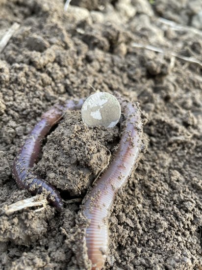 Kletba zlomena, aneb třetí hledačka a třetí Ag