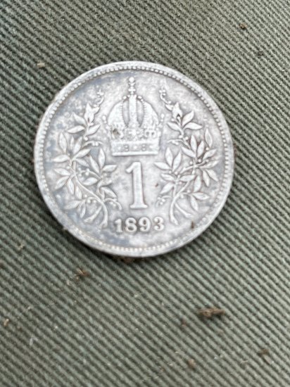 Koruna 1893