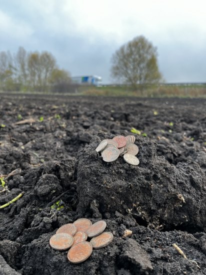 Rozorané slovenské prasiatko za dunění českých a polských kamionů