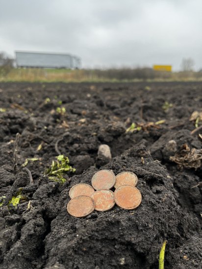 Rozorané slovenské prasiatko za dunění českých a polských kamionů