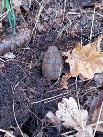 Vejce na Vánoce