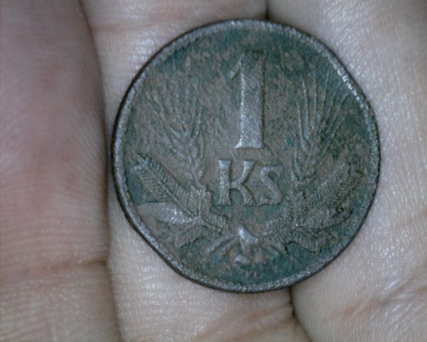 1 Koruna