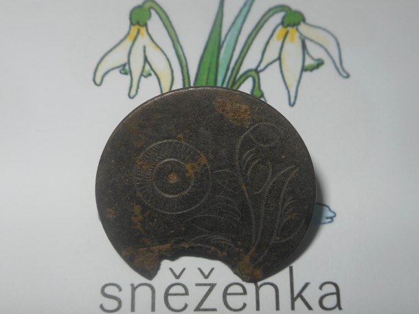 Pan sněženka