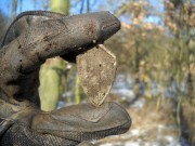 Příležitostný odznak - 16. Slavnostní setkání -  Kadaň (19. -20. červen 1937)