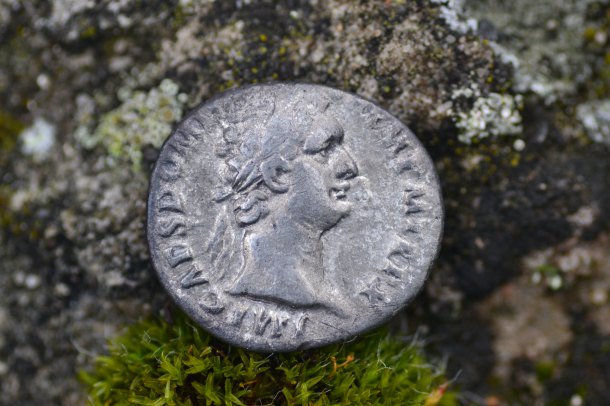 Titus Flavius Domitianus