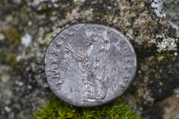 Titus Flavius Domitianus