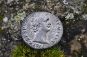 Titus Flavius Domitianus