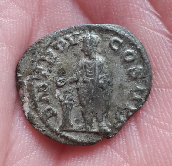 Alexander Severus (222-235) - Denarius