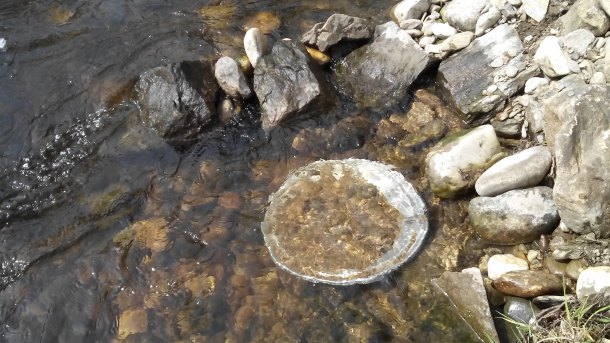 Svaty Jiri zlatinky nese na taliri.