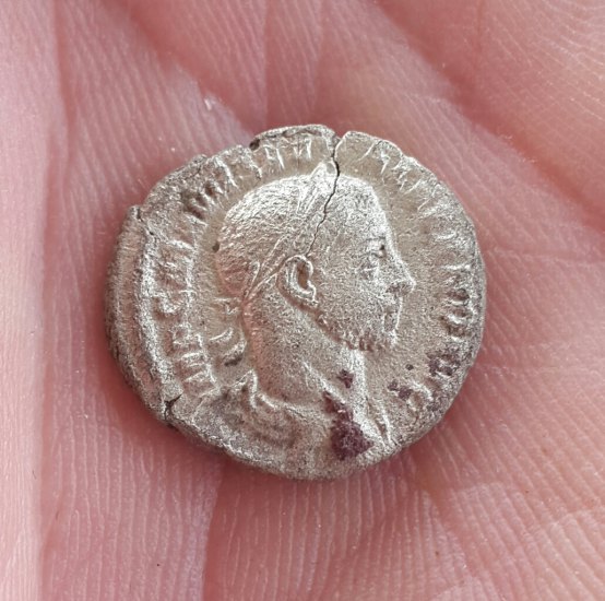 Alexander Severus (222-235) - Denarius