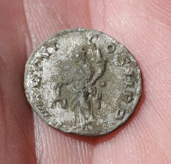 Alexander Severus (222-235) - Denarius