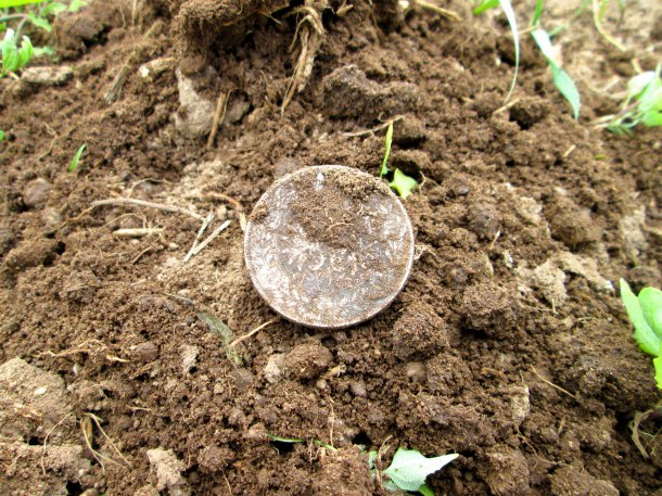 5 Krone (Pětikoruna)