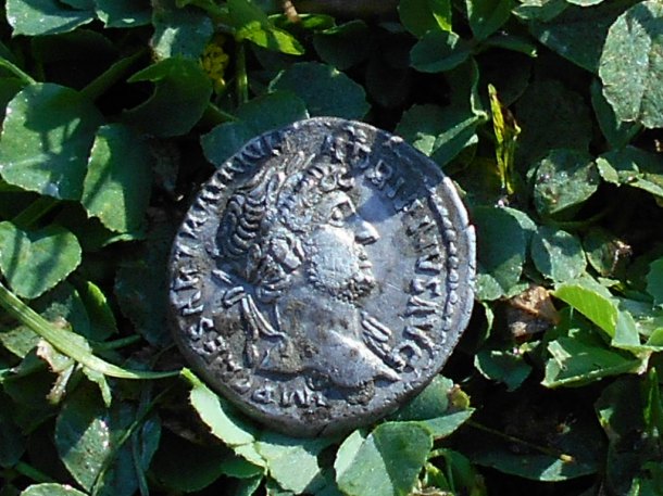 PUBLIUS AELIUS TRAIANUS HADRIANUS