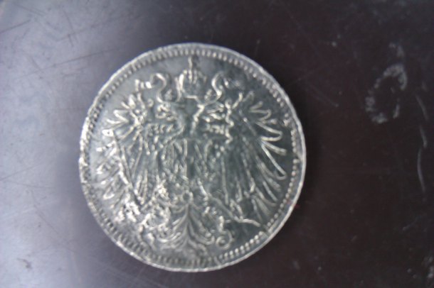 20 heller 1893