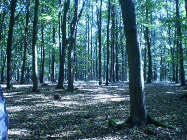 Železná radost.