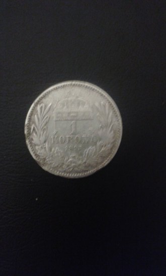 1 korona 1895