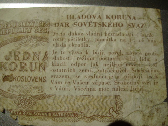 hladová koruna detail 2