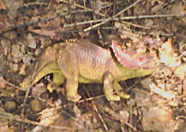 Přehrada a dinosaurus